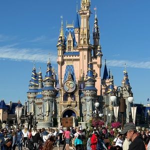 Meet your Posher, Tammy